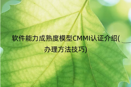 軟件能力成熟度模型CMMI認證介紹(辦理方法技巧)